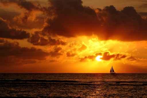 Couche Soleil Wall Decal