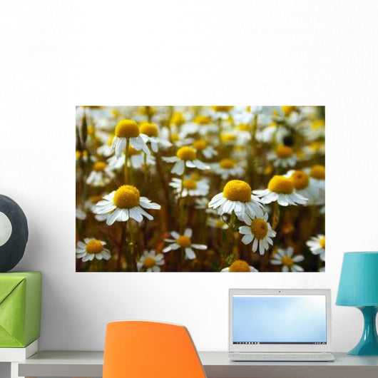 Daisy Meadow Wall Decal