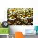 Daisy Meadow Wall Decal
