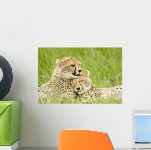 Cheetah Cubs Wall Mural
