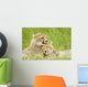 Cheetah Cubs Wall Mural