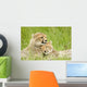 Cheetah Cubs Wall Mural