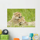 Cheetah Cubs Wall Mural