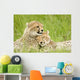 Cheetah Cubs Wall Mural