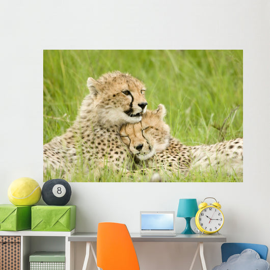 Cheetah Cubs Wall Mural