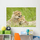 Cheetah Cubs Wall Mural