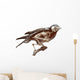 Stuffed Bird With Skeleton Inside Wall Decal