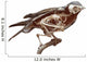 Stuffed Bird With Skeleton Inside Wall Decal