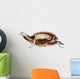 Stuffed Turtle Skeleton Wall Decal