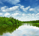 lake Wall Mural