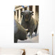 Borse Frankfurt Wall Decal Design 1