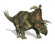 Albertaceratops Dinosaur Wall Decal