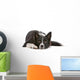 Border collie dog resting, isolated on a white background Wall Decal