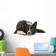 Border collie dog resting, isolated on a white background Wall Decal
