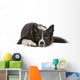 Border collie dog resting, isolated on a white background Wall Decal