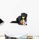 Cute black border collie dog playing with balls Wall Decal