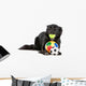 Cute black border collie dog playing with balls Wall Decal