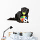 Cute black border collie dog playing with balls Wall Decal