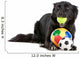 Cute black border collie dog playing with balls Wall Decal