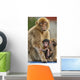 Monkey and Its Baby Wall Mural
