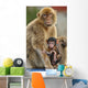 Monkey and Its Baby Wall Mural