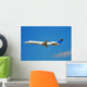 Embraer Regional Jet Wall Mural