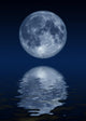 moon rising Wall Mural