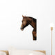 TÃªte de cheval sur fond blanc Wall Mural