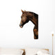 TÃªte de cheval sur fond blanc Wall Mural