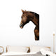 TÃªte de cheval sur fond blanc Wall Mural