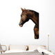 TÃªte de cheval sur fond blanc Wall Mural