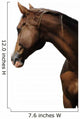 TÃªte de cheval sur fond blanc Wall Mural