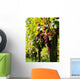 Vine and Sun bunch of grapes Wall Mural