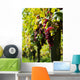 Vine and Sun bunch of grapes Wall Mural
