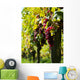 Vine and Sun bunch of grapes Wall Mural