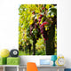 Vine and Sun bunch of grapes Wall Mural