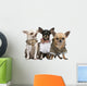 Three Chihuahuas Dressed up Wall Decal