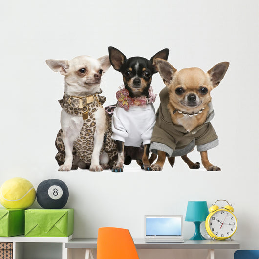 Three Chihuahuas Dressed up Wall Decal