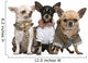 Three Chihuahuas Dressed up Wall Decal