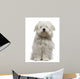 Coton De Tulear Puppy Sitting Wall Decal