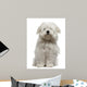 Coton De Tulear Puppy Sitting Wall Decal
