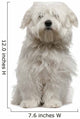 Coton De Tulear Puppy Sitting Wall Decal