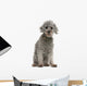 Grey Poodle Wall Decal