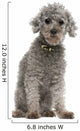 Grey Poodle Wall Decal