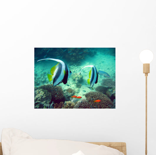 Poissons Mayotte Wall Mural