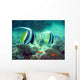 Poissons Mayotte Wall Mural