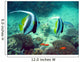 Poissons Mayotte Wall Mural