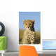 Cheetah Cub Close up Wall Mural