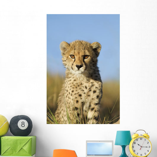 Cheetah Cub Close up Wall Mural