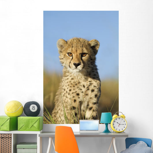 Cheetah Cub Close up Wall Mural